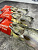 dac8adf2-0eaf-4104-964f-362e7042faca