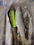 ca7b9023-4e48-4305-ad14-b49b6765c0af